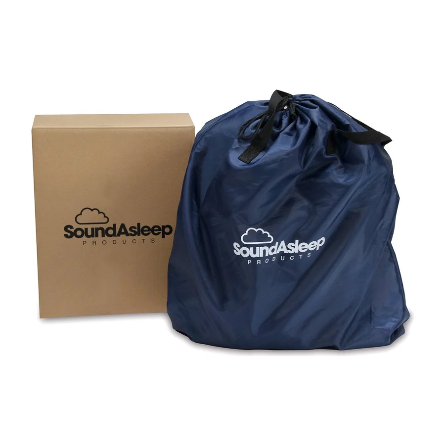 SoundAsleep Dream Series Air Mattress